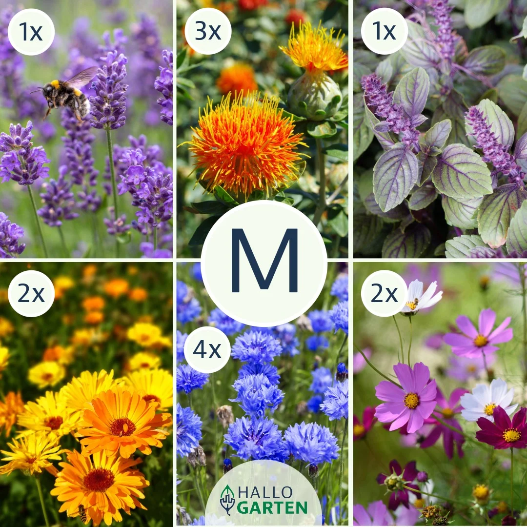 Blumen-Set Essbarer Blumengarten - Bild 2
