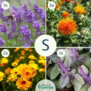 Blumen-Set Essbarer Blumengarten - Bild 1