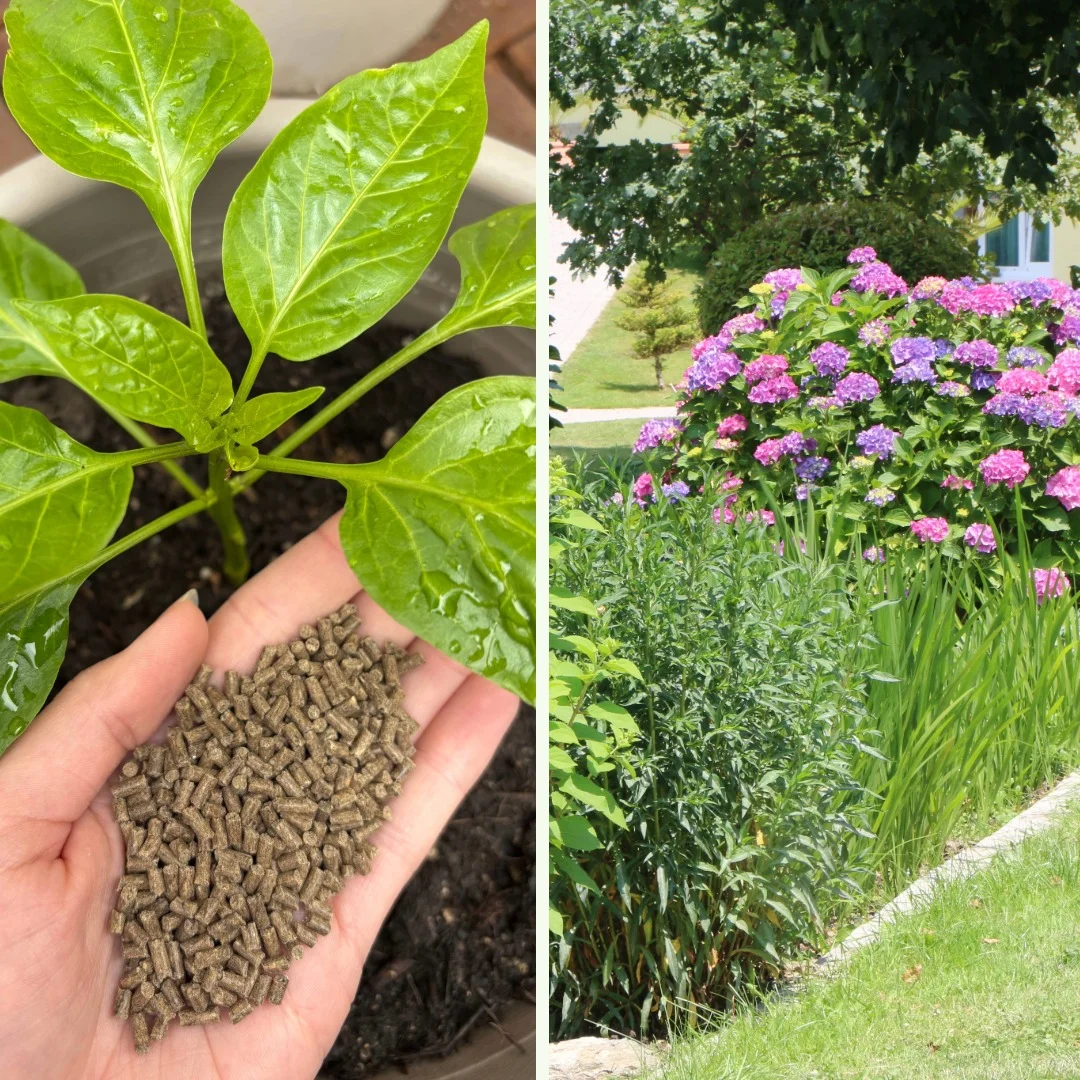 Hallo Garten BIO-Dünger für (Blüh-)Gehölze (500 g) - Bild 5