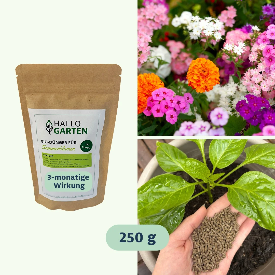 Hallo Garten BIO-Dünger für Sommerblumen (250 g)