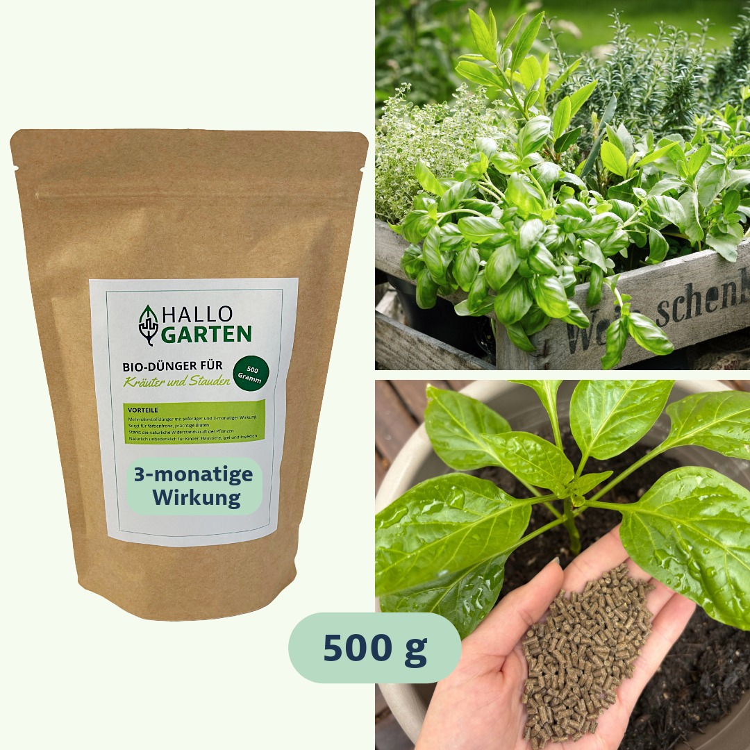 Hallo Garten Dünger für Kräuter und Stauden 500 g