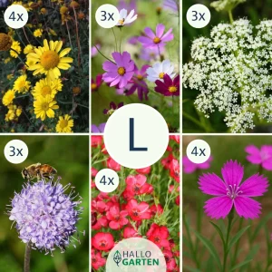 Blumen-Set Bienenparadies - Bild 3