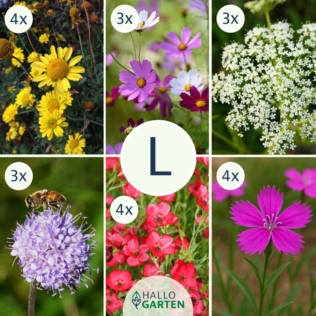 Blumen-Set Bienenparadies - Bild 3