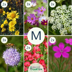 Blumen-Set Bienenparadies - Bild 2