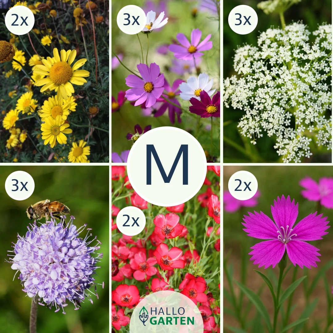 Blumen-Set Bienenparadies - Bild 2