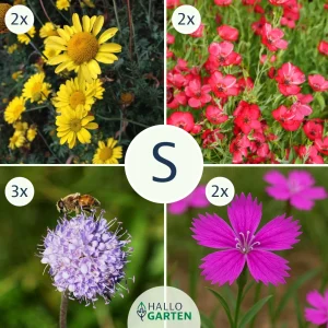 Blumen-Set Bienenparadies - Bild 1