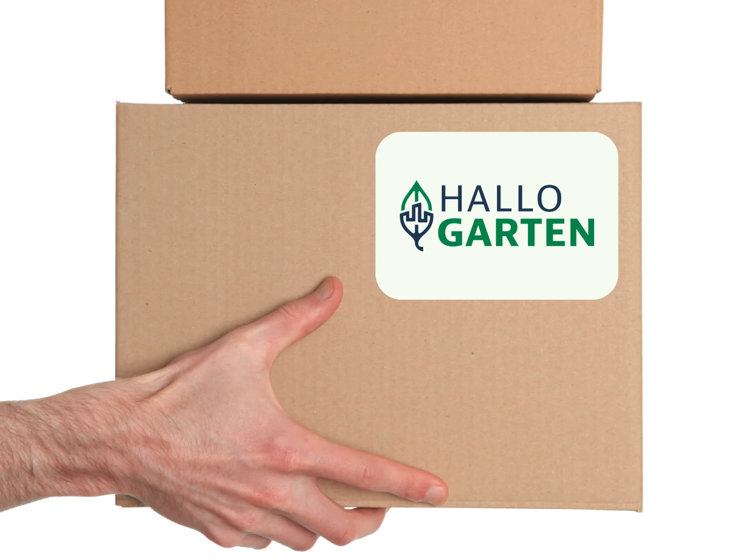 Bestellung und Lieferung​
