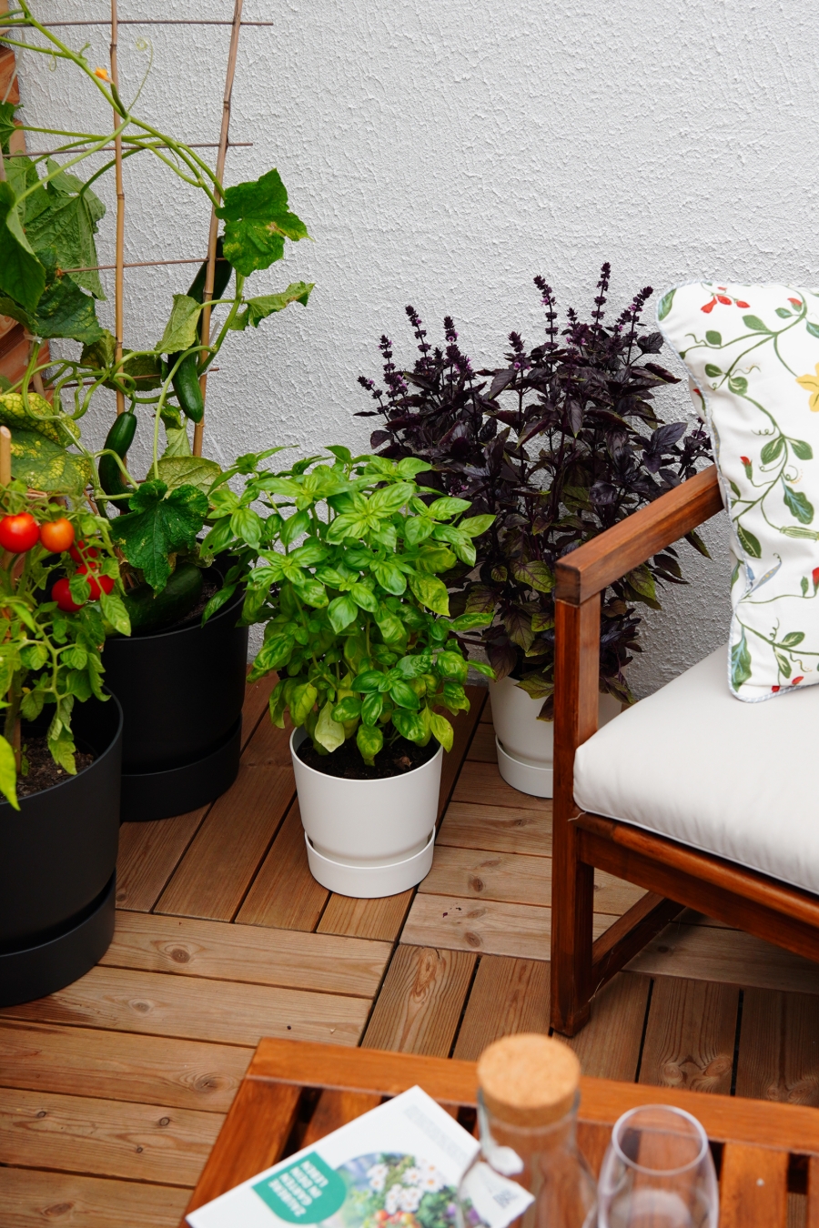 Topfpflanzen mit Basilikum, Gurken und Tomaten auf einer Holzterrasse neben einem Gartenstuhl mit Kissen.