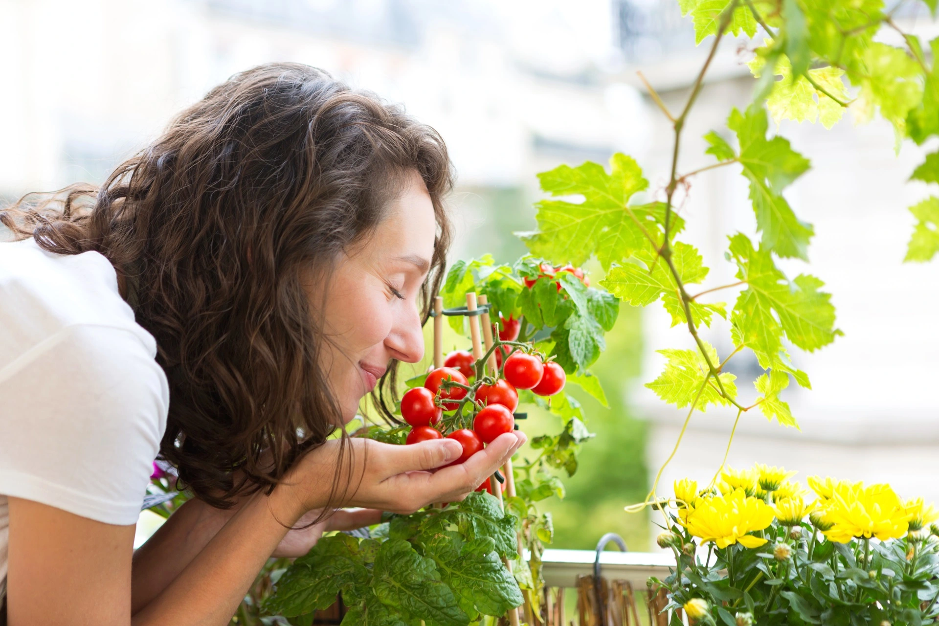 Frau riecht an frischen Tomaten auf dem Balkon, im Hintergrund gelbe Blüten.