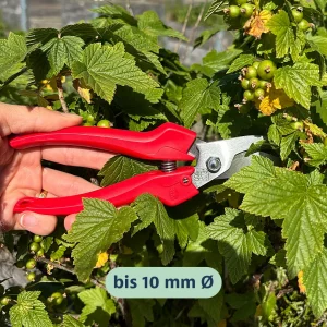 FELCO®300 Gartenschere, Leseschere, Bypass (bis 10mm Ø)