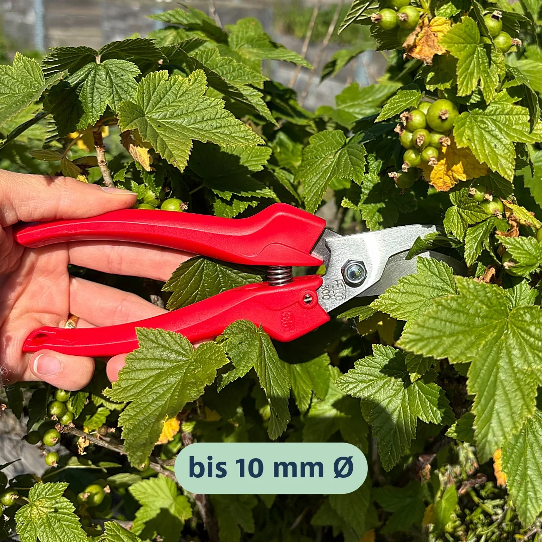 FELCO®300 Gartenschere, Leseschere, Bypass (bis 10mm Ø)