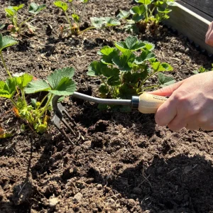 Handharke 3 Zinken mit Eschen-Griff