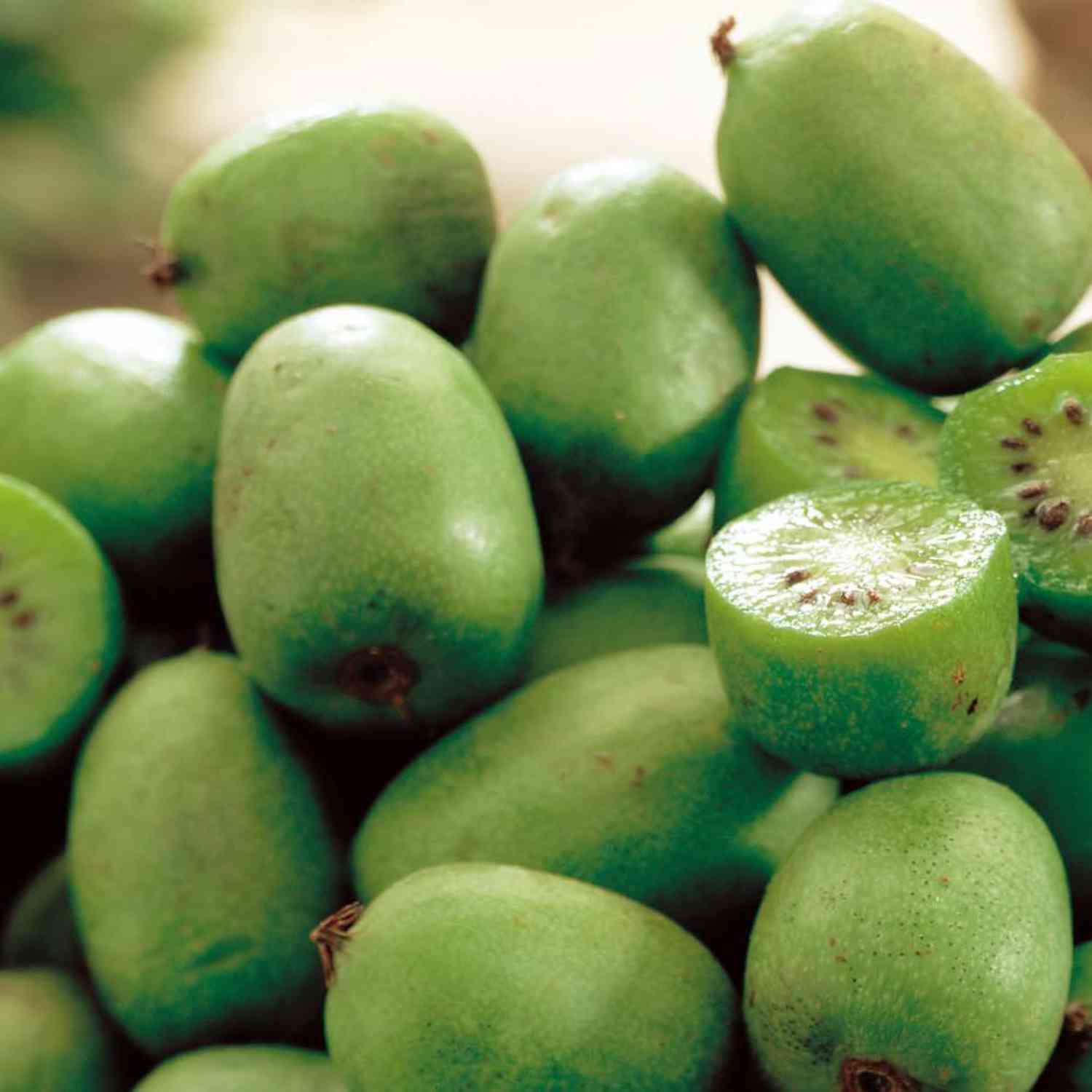 Kiwi Actinidia arguta Issai