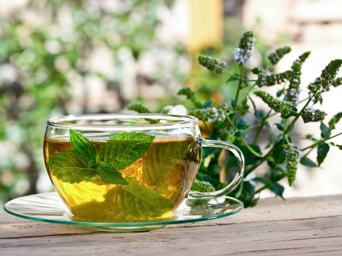 Glastasse mit Pfefferminztee und frischen Minzblättern neben blühender Minzpflanze